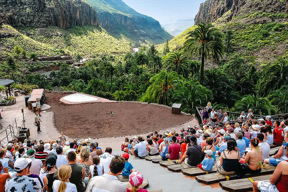 imagen n.º 9 de Maspalomas: Ticket de entrada a Palmitos Park con Espectáculos de Delfines y Aves actividad en Maspalomas, subida por el proveedor