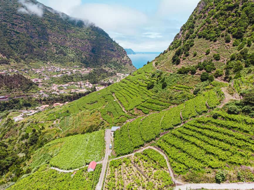 image n.15 of From Funchal: Full-Day Madeira Wine Tour with Lunch activity in Câmara de Lobos, uploaded by supplier