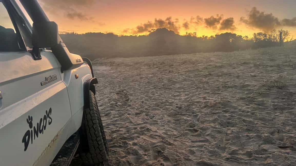 Image N°31 de Rainbow Beach : 3 jours d'aventure en 4x4 à K'gari (île Fraser) activité à Queensland, publiée par le prestataire