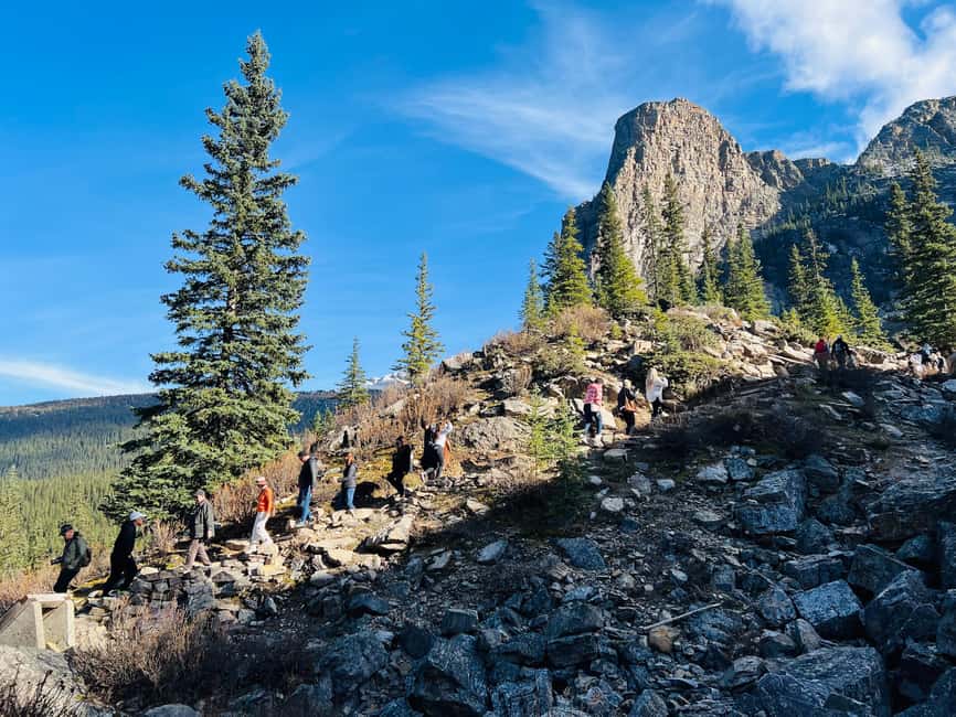 image n.5 of Lake Louise and Moraine Lake Small Group Half-Day Tour activity in Banff, uploaded by supplier
