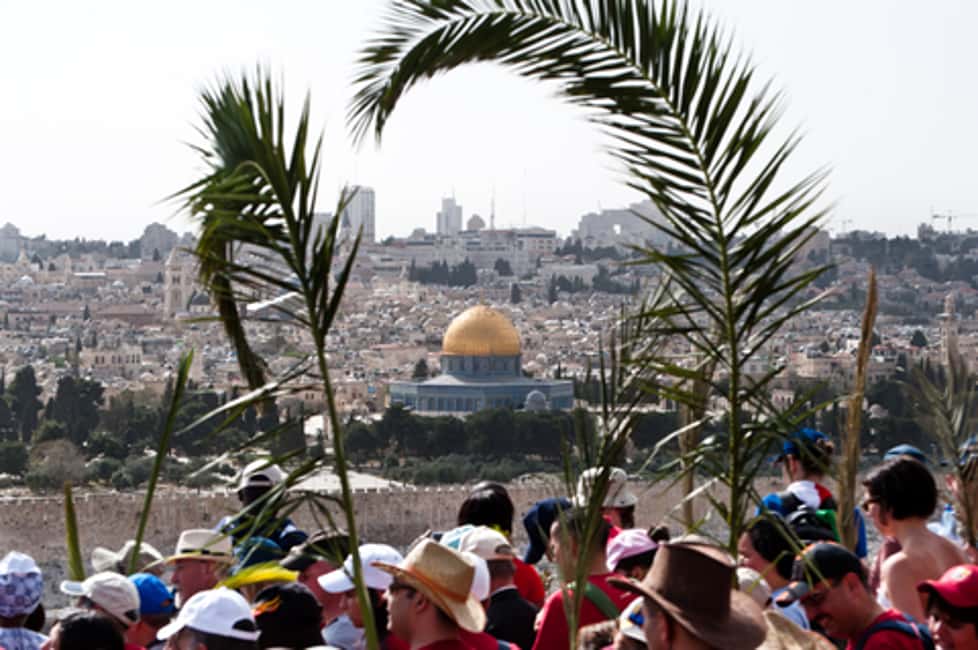image n.1 of Full-Day Palm Sunday Procession from Jerusalem or Tel Aviv activity in Jerusalem, uploaded by supplier