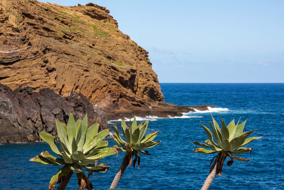 image n.22 of From Funchal: Best of Madeira's West Tour activity in São Vicente, Madeira, uploaded by supplier