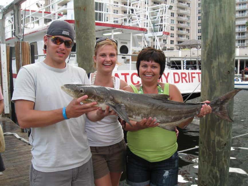 image n.12 of Fort Lauderdale: 4-Hour Deep Sea Drift Fishing Trip activity in Fort Lauderdale, uploaded by supplier