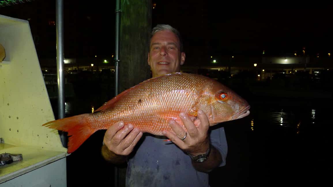 image n.24 of Fort Lauderdale: 4-Hour Deep Sea Drift Fishing Trip activity in Fort Lauderdale, uploaded by supplier