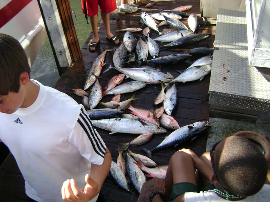 image n.26 of Fort Lauderdale: 4-Hour Deep Sea Drift Fishing Trip activity in Fort Lauderdale, uploaded by supplier