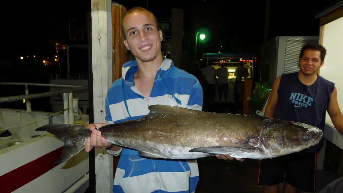 image n.28 of Fort Lauderdale: 4-Hour Deep Sea Drift Fishing Trip activity in Fort Lauderdale, uploaded by supplier
