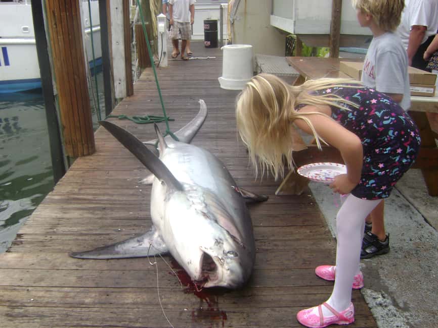 imagen n.º 21 de Fort Lauderdale: Charter compartido de pesca deportiva de 4 horas actividad en Fort Lauderdale, subida por el proveedor