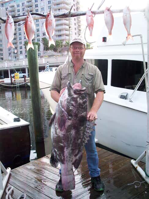 imagen n.º 23 de Fort Lauderdale: Charter compartido de pesca deportiva de 4 horas actividad en Fort Lauderdale, subida por el proveedor