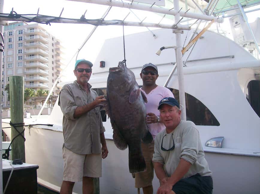 imagen n.º 32 de Fort Lauderdale: Charter compartido de pesca deportiva de 4 horas actividad en Fort Lauderdale, subida por el proveedor