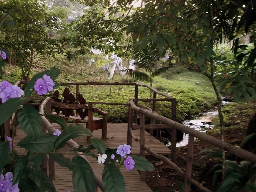 image n.15 of The Blue River Resort & Hot Springs: Full-Day Adventure activity in Guanacaste, uploaded by supplier