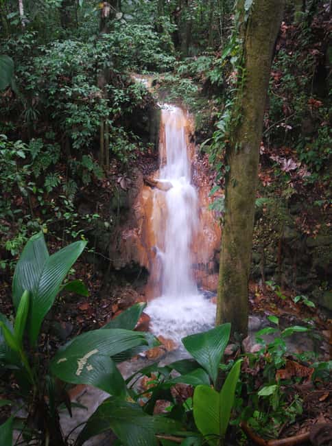 image n.3 of The Blue River Resort & Hot Springs: Full-Day Adventure activity in Guanacaste, uploaded by supplier