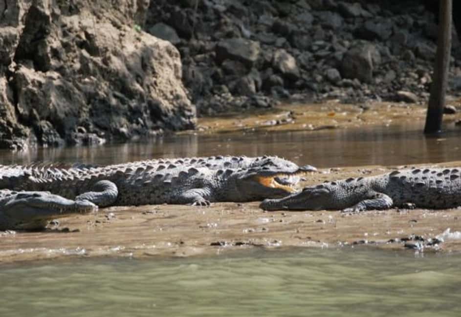 Image N°3 de Canyon du Sumidero et Chiapa de Corzo : excursion d'une journée depuis Tuxtla activité à Chiapas, publiée par le prestataire