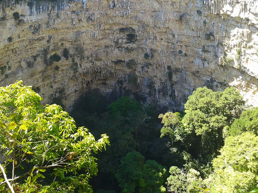 Image N°6 de Tuxtla Gutiérrez : Descente en rappel d'une journée dans le gouffre des perroquets activité à Chiapas, publiée par le prestataire