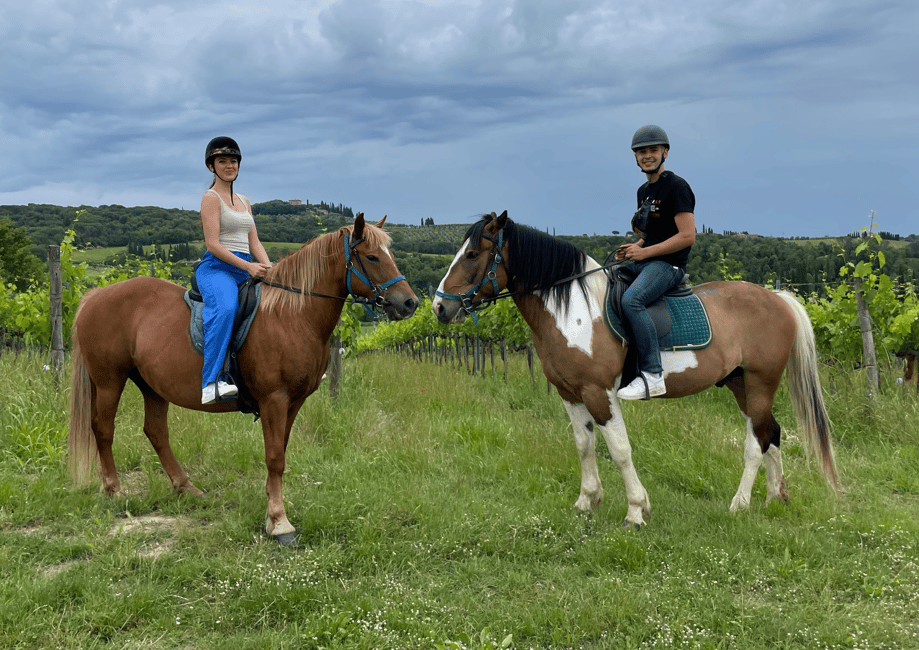 imagen n.º 17 de Siena: Aventura a caballo por la campiña toscana actividad en Siena, subida por el proveedor