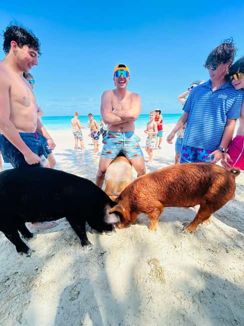 Image N°33 de Nassau : Cochons, plongée en apnée, tortues, déjeuner, club de plage privé activité à New Providence, publiée par le prestataire