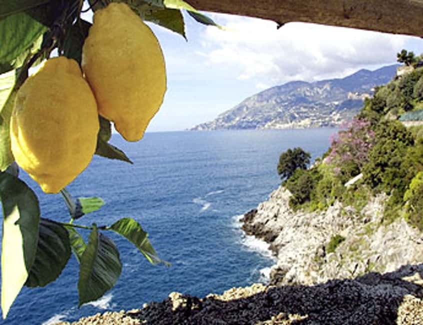 bild nr.2 av Neapel - Pompeji Pompeji, Positano och Sorrento Landutflykt aktivitet i Pompei, Kampanien, uppladdad av arrangören