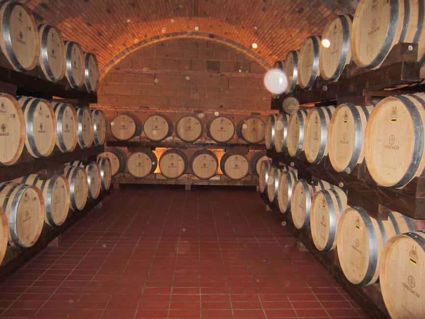 Immagine nº 5 di Tour di un giorno di Siena e San Gimignano e degustazione di vini da Roma attività a Siena, caricata dal fornitore