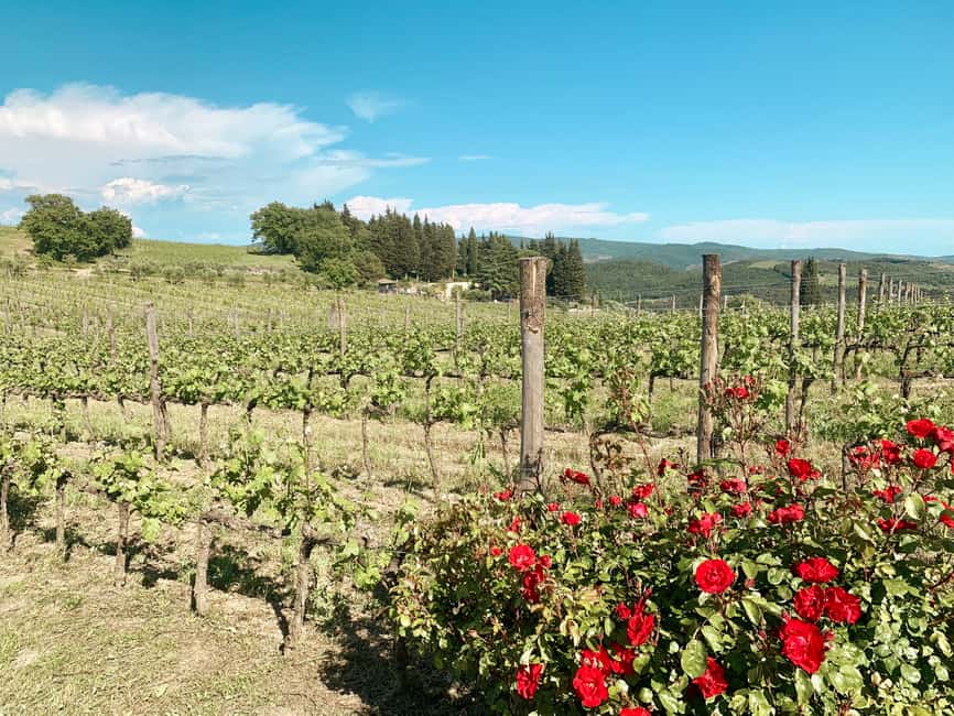 imagen n.º 18 de Desde Florencia: Visita a las Bodegas de las Colinas del Chianti con Degustación actividad en Florencia, subida por el proveedor