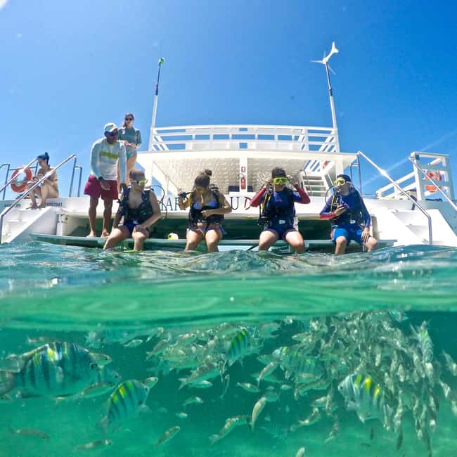 image n.2 of Maracajau Parrachos Reef: Mask and Snorkel swim adventure activity in Natal, uploaded by supplier