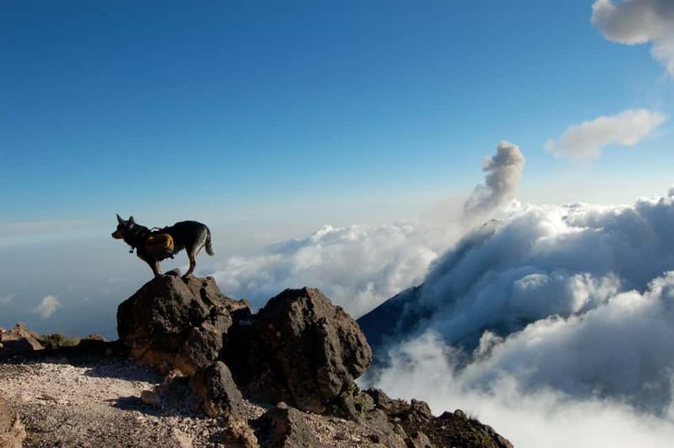 image n.11 of 1 Day Acatenango Volcano Hike from Antigua activity in Quetzaltenango Department, uploaded by supplier