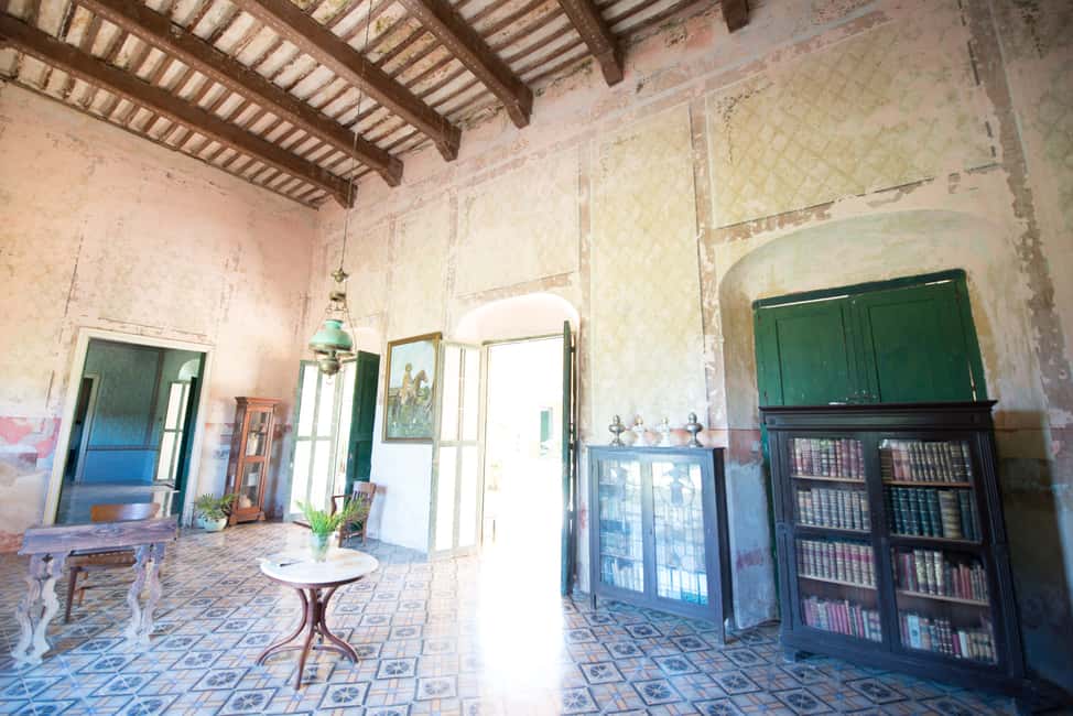image n.13 of From Merida: Uxmal, Hacienda Yaxcopoil and Cenote with Lunch activity in Uxmal, uploaded by supplier