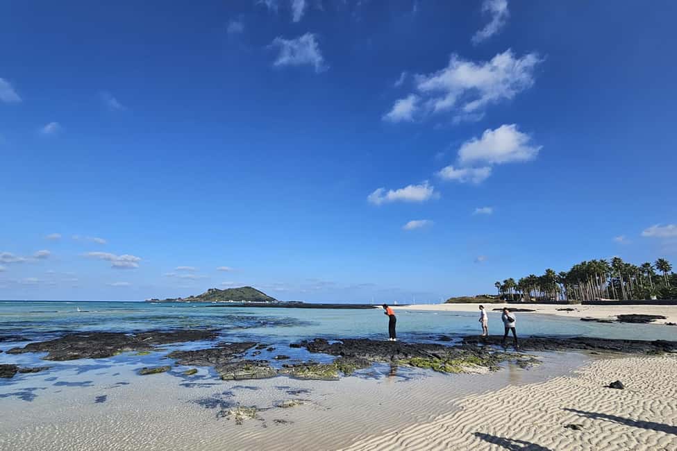 image n.10 of Jeju Island: Full-Day SouthWest Bus Tour with Entry Fees activity in Seogwipo-si, uploaded by supplier