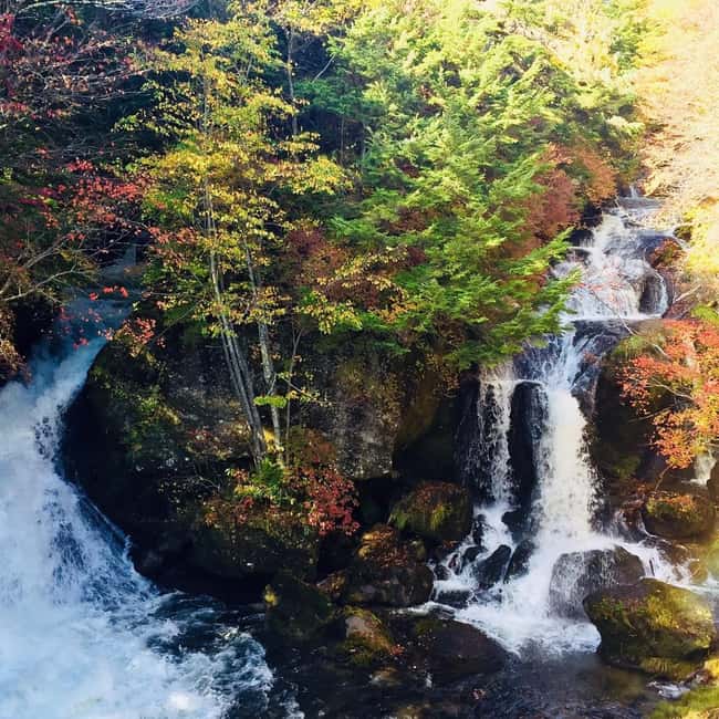 Immagine nº 6 di I maestosi paesaggi di Nikko: Tour privato guidato attività a Nikkō, caricata dal fornitore