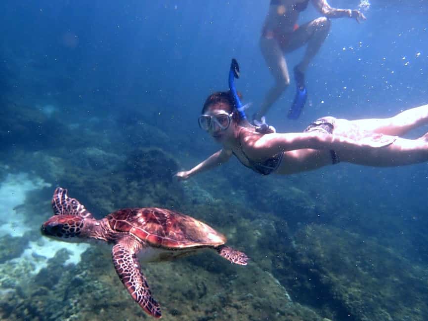 Immagine nº 9 di Da Al-Seeb: gita in barca alle isole Dimaniyat con snorkeling attività a Seeb, caricata dal fornitore