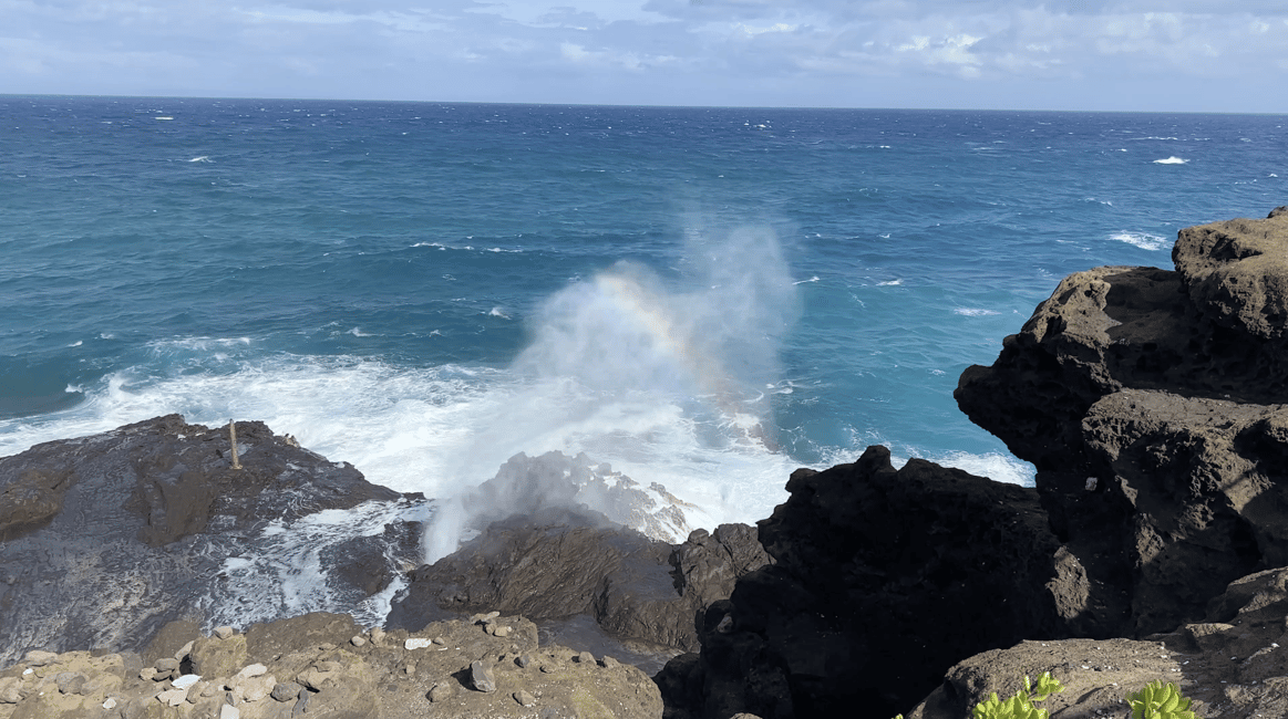 Immagine nº 10 di Oahu: Tour privato - Isola del Cerchio - personalizzabile attività a Honolulu, caricata dal fornitore