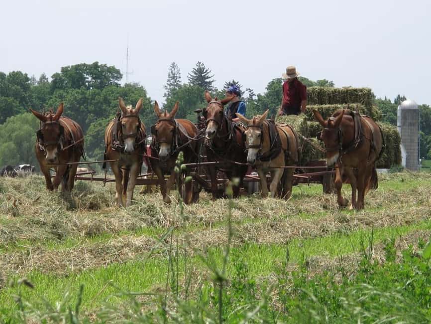 image n.6 of Private Lancaster County Amish Tour from Philadelphia activity in Philadelphia, uploaded by supplier