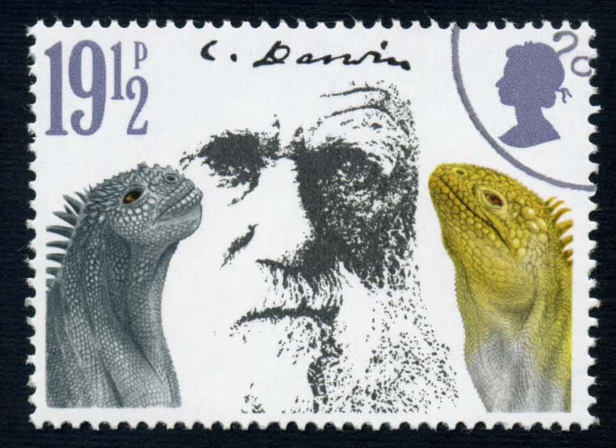 image n.7 of Galapagos GPS Airport Transfers and highlights Tours activity in Galápagos Islands, uploaded by supplier