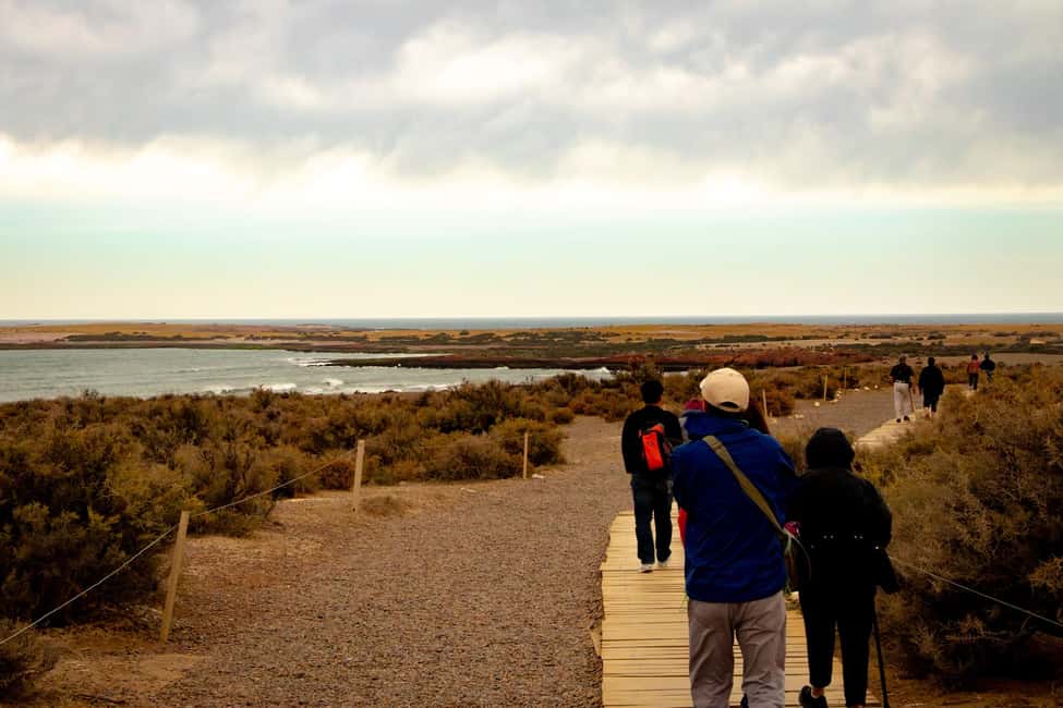 Bild Nr. 5 von Puerto Madryn: Punta Tombo Wandern unter Pinguinen erleben Aktivität in Chubut Provinz, hochgeladen vom Anbieter