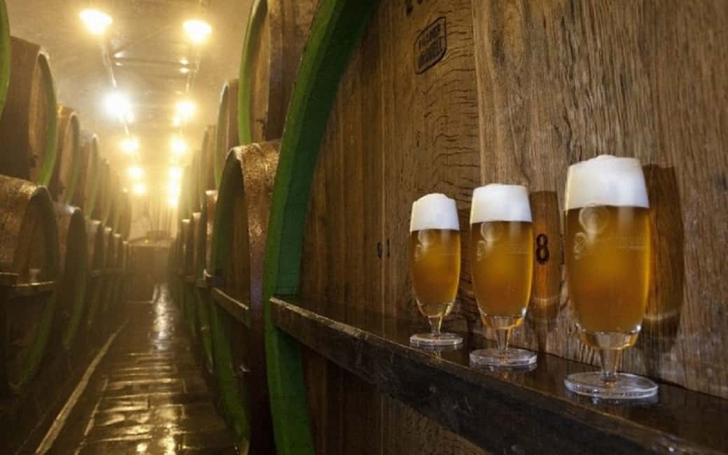 Immagine nº 5 di Visita combinata del birrificio Pilsner e della fabbrica di vetro Nizbor attività a Praga, caricata dal fornitore