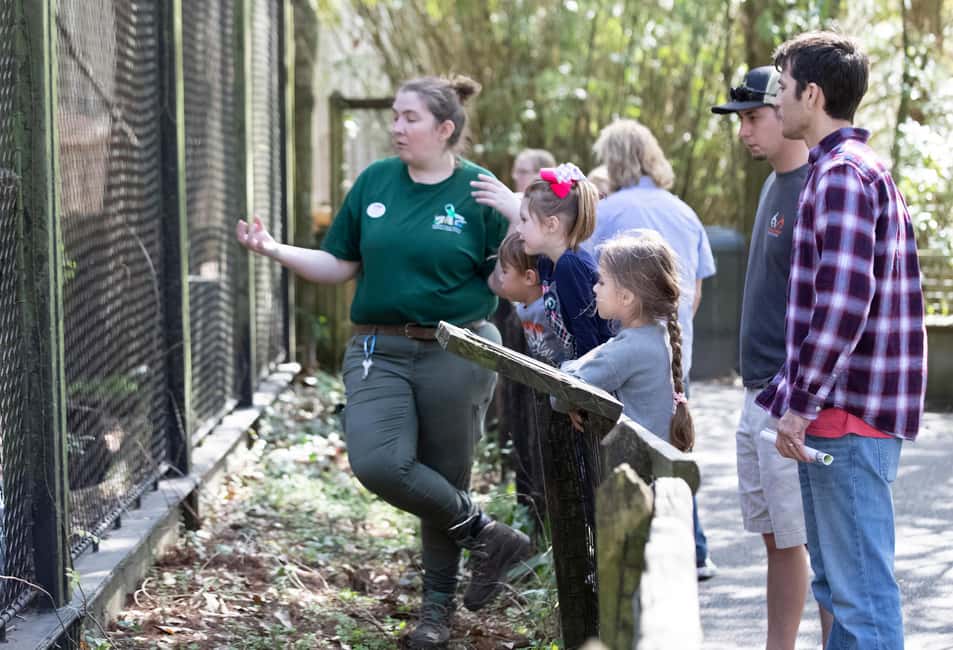 Immagine nº 19 di New Orleans: Biglietto per lo zoo di Audubon e opzione combinata attività a New Orleans, caricata dal fornitore