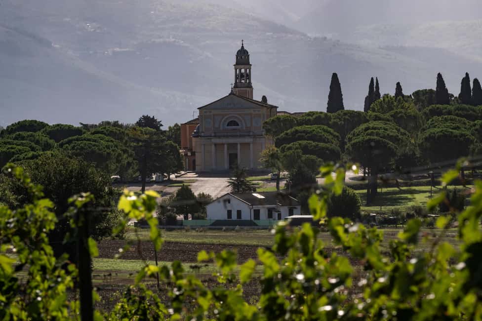 Immagine nº 31 di Montefalco: Tour della cantina e del vigneto e degustazione privata attività a Montefalco, caricata dal fornitore