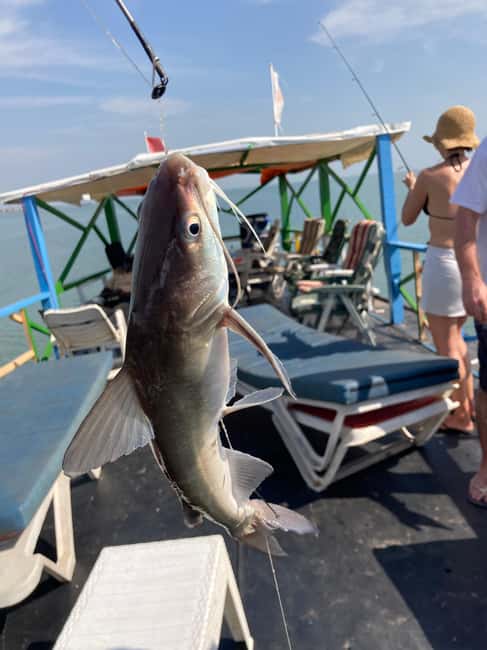 image n.10 of River Gambia & Lazy Day Cruise activity in West Coast Region, Gambia, uploaded by supplier