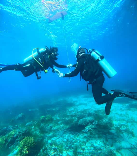 image n.18 of Sithonia: Scuba Diving Experience for Beginners activity in Nikiti, uploaded by supplier