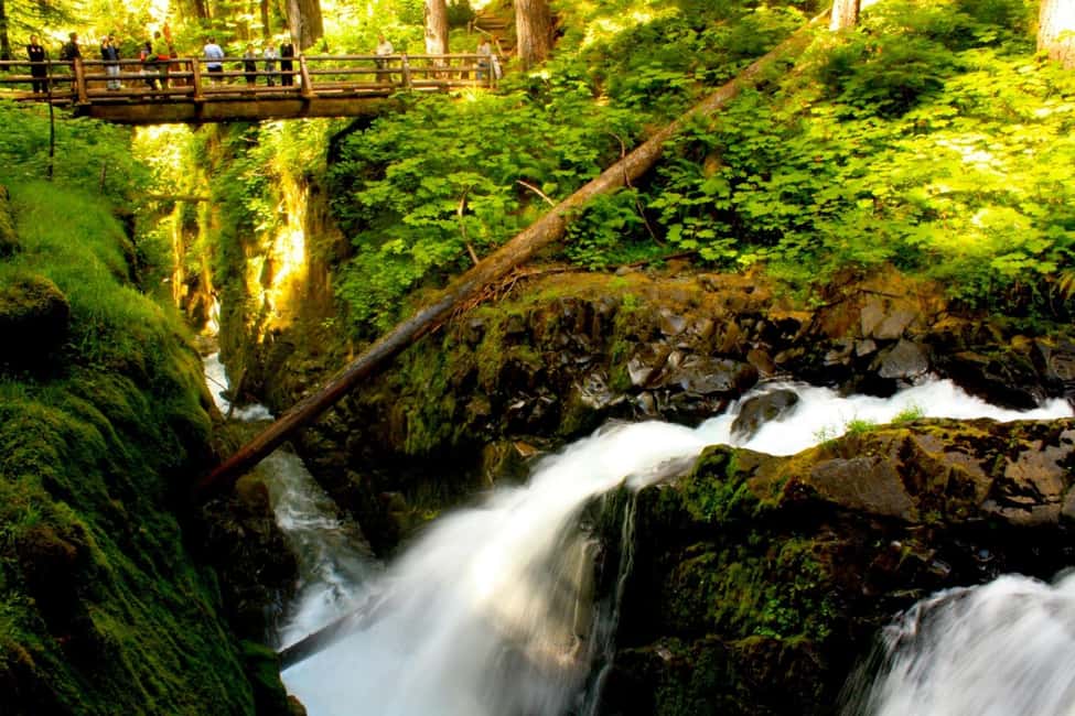 image n.4 of Seattle: Olympic National Park Full-Day Tour & Scenic Ferry activity in Port Angeles, uploaded by supplier
