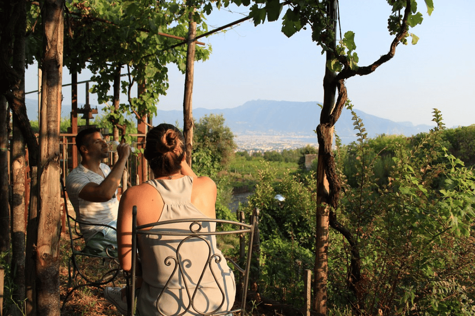 image n.3 of Naples: Pompeii and Herculaneum Tour with Tickets and Lunch activity in Ercolano, uploaded by supplier