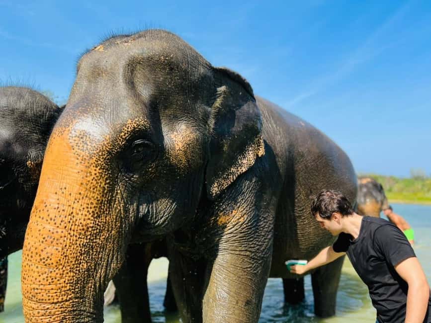 image n.17 of Phuket: Half-Day Elephant Explorer at Phuket Elephant Care activity in Kathu, Phuket, uploaded by supplier