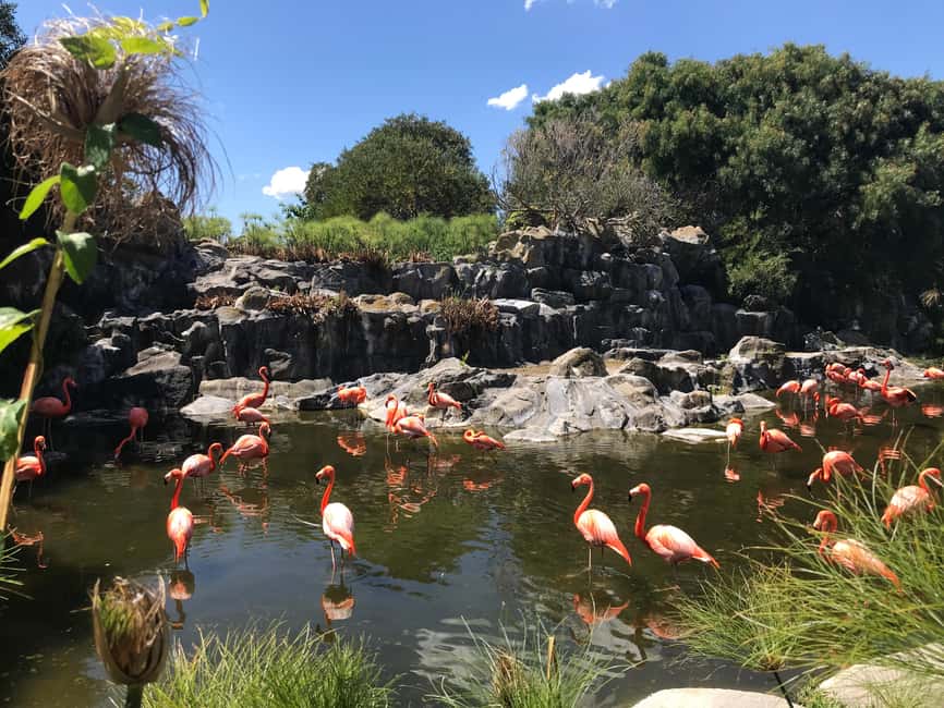 imagen n.º 4 de Buenos Aires: Bioparque Temaiken con Traslados actividad en Buenos Aires, subida por el proveedor