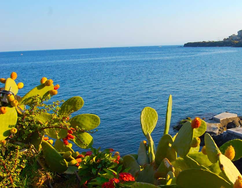 image n.6 of Aci Trezza and Aci Castello: Guided Tour with Granita activity in Aci Trezza, uploaded by supplier