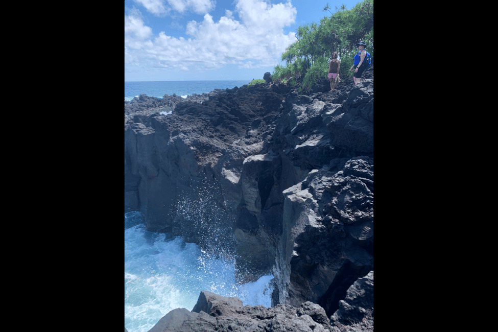 Immagine nº 22 di Escursione alle pozze di marea segrete - Giungla e costa - Privato attività a Pahoa, caricata dal fornitore