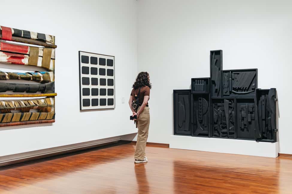 Immagine nº 18 di Torino: biglietto d'ingresso alla Galleria d'Arte Moderna e Contemporanea attività a Torino, caricata dal fornitore