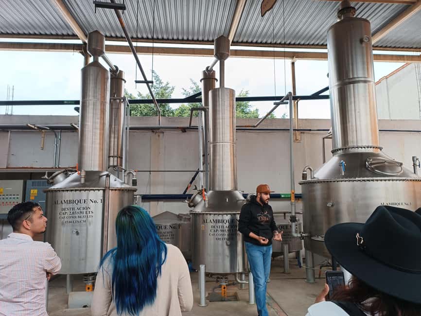 image n.8 of From Guadalajara: Tequila Tour with Tastings activity in Guadalajara, uploaded by supplier