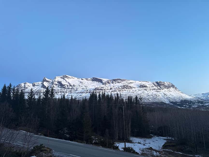 image n.14 of Narvik/Harstad:Day tour of Fjords with stop at Reindeer farm activity in Narvik, uploaded by supplier