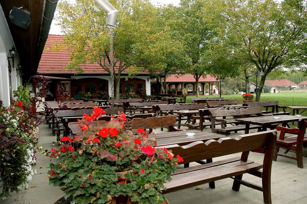 image n.3 of From Budapest: Puszta Horse Show and Countryside Visit activity in Budapest, uploaded by supplier