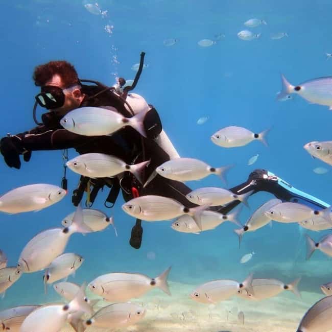 image n.10 of Fethiye: Fly and Dive, Paragliding and Scuba Diving Together, Transfer Included activity in Aegean Coast Region, Turkey, uploaded by supplier