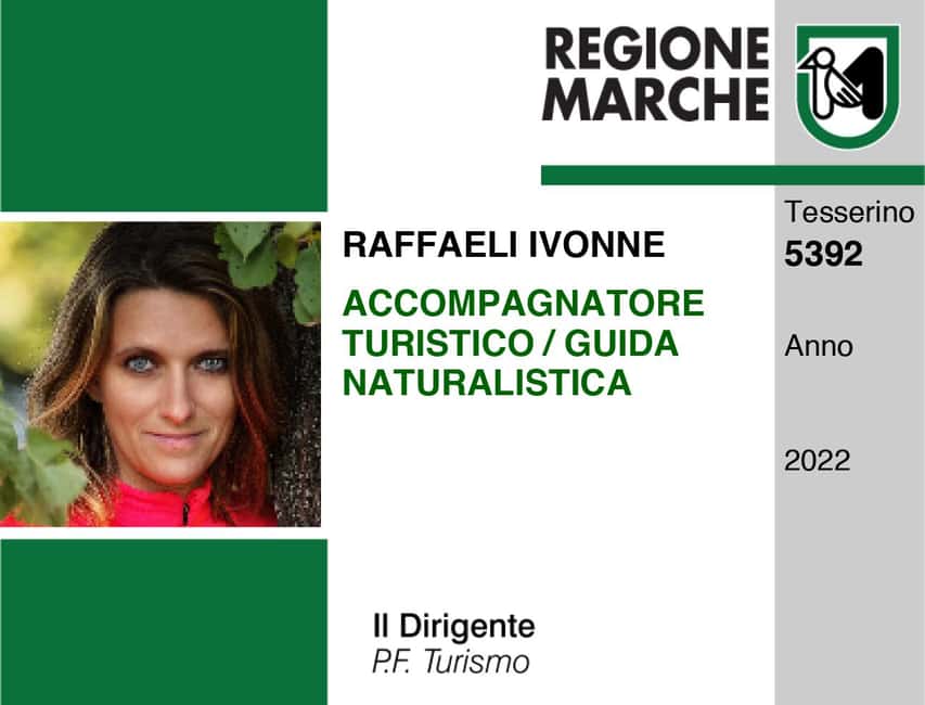 image n.4 of Ancona Riviera del Conero: Hiking Tour activity in Sirolo, uploaded by supplier