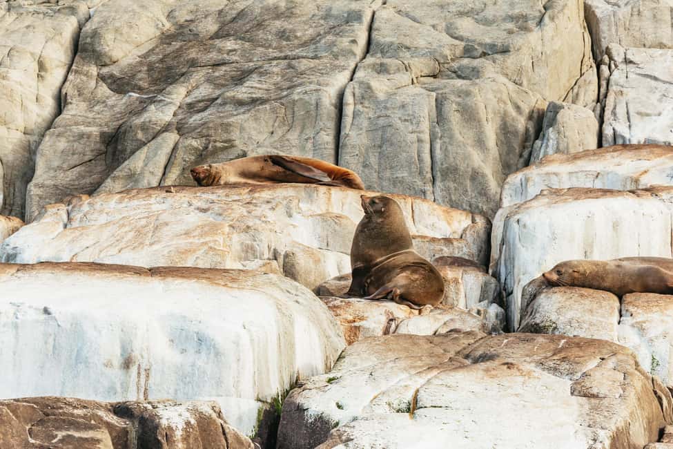 image n.3 of From Port Arthur: Tasman Island Wilderness Cruise activity in Port Arthur, uploaded by supplier